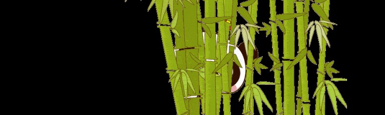 五个优质微信公众号了解一下